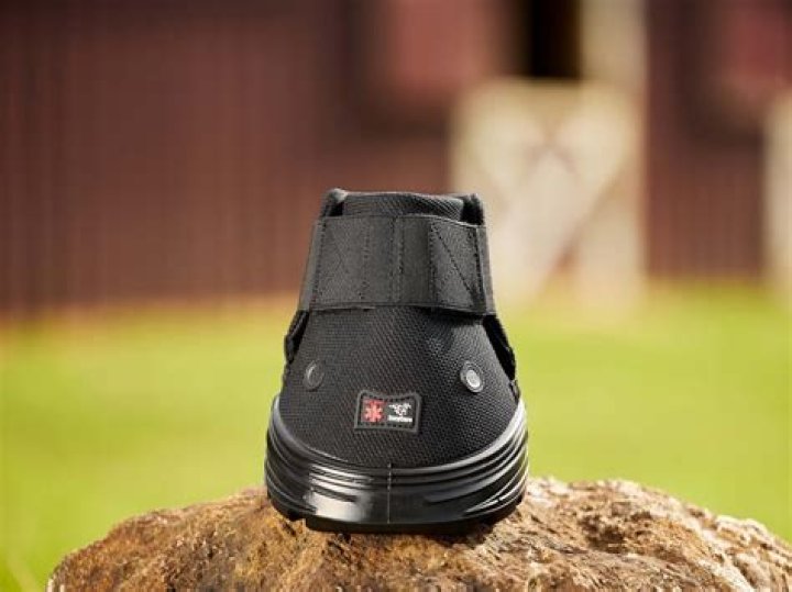 5 Best Horse Hoof Boots in 2024 - Reviews & Top Picks | PangoVet