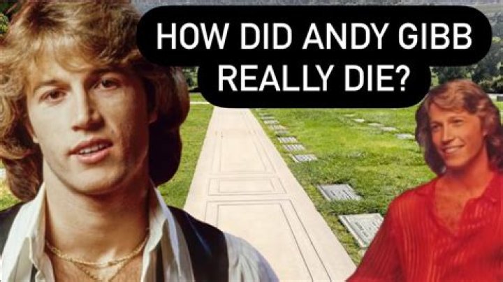 Andy Gibb facts: Bee Gees' brother's death, songs, wife and daughter explained