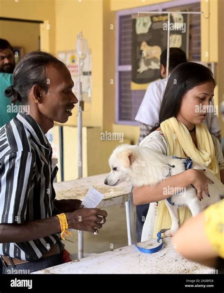 Asia Album: Pets gets free vaccination on World Zoonoses Day in Hyderabad, India - Xinhua