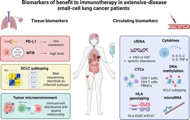 Blood Biomarker Challenge to 'revolutionise' dementia diagnosis