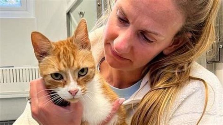 Cat reunited with owner after two years missing