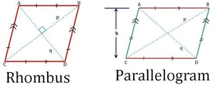 Difference Between Rhombus and Parallelogram