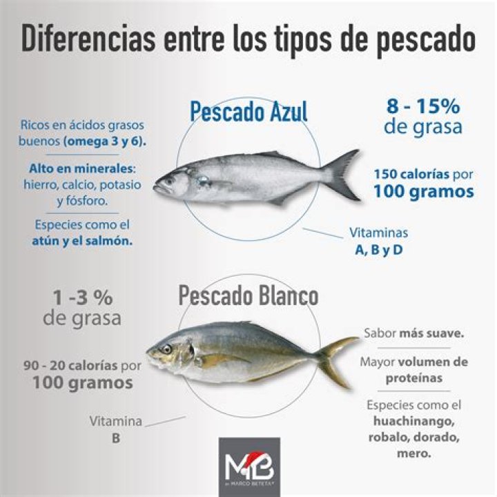 el pescado azul menos graso, fuente de omega-3
