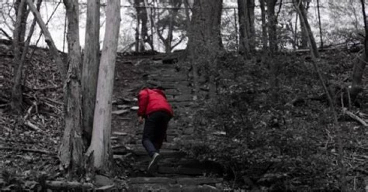 Exploring Alleged Trails Carolina Horror Stories