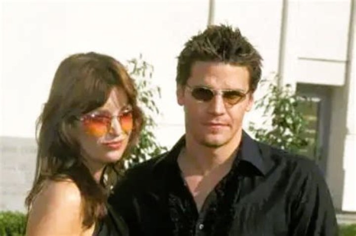 Facts About David Boreanaz’s Ex-Wife, Ingrid Quinn: Bio, Age, Divorce