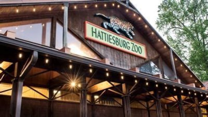 Hattiesburg Zoo plans expansion | Free News