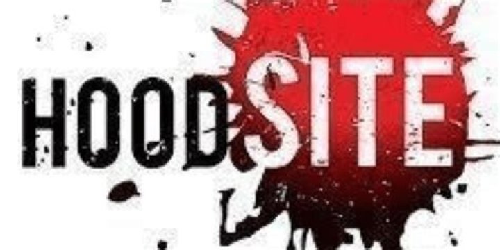 hoodsite.info login safely, analysis & comments