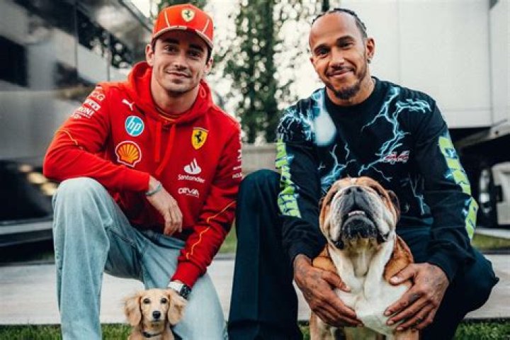 Lewis Hamilton’s dog Roscoe is a vegan who earns $700 per day | F1