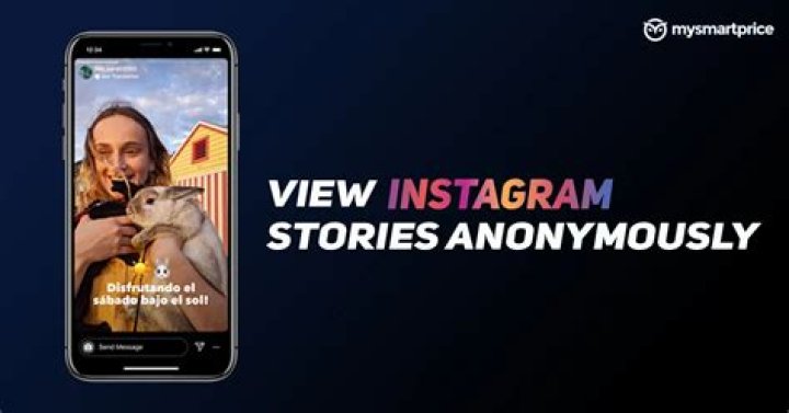 Navigating Instagram Stories Anonymously with Instanavigation