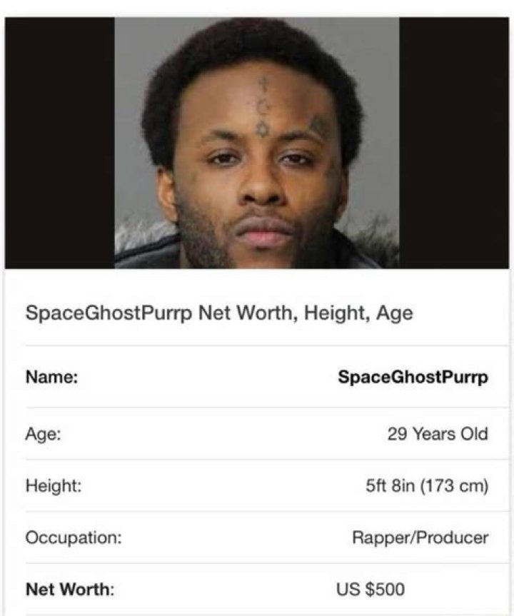 SpaceGhostPurrp Bio, Net Worth, Height