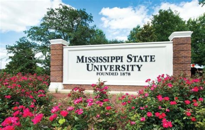 Students News | Mississippi State University