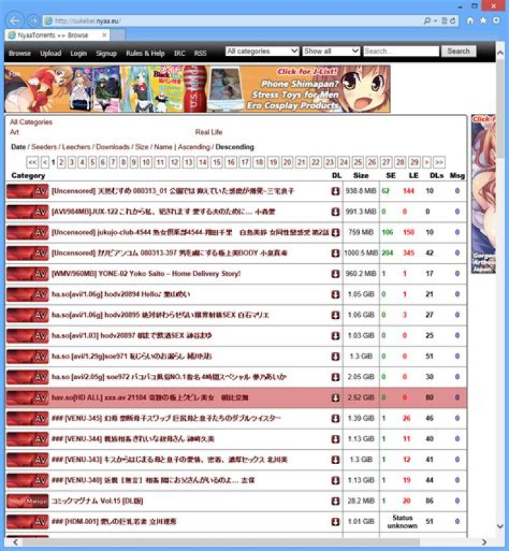 sukebei.nyaa.si login safely, analysis & comments