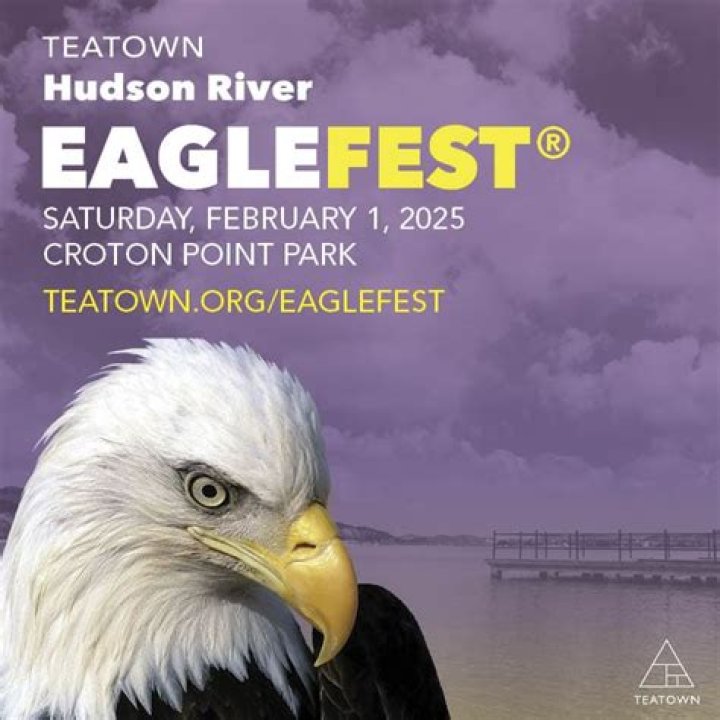 Teatown Hudson River Eaglefest | Macaroni KID Armonk - Chappaqua - Mount Kisco
