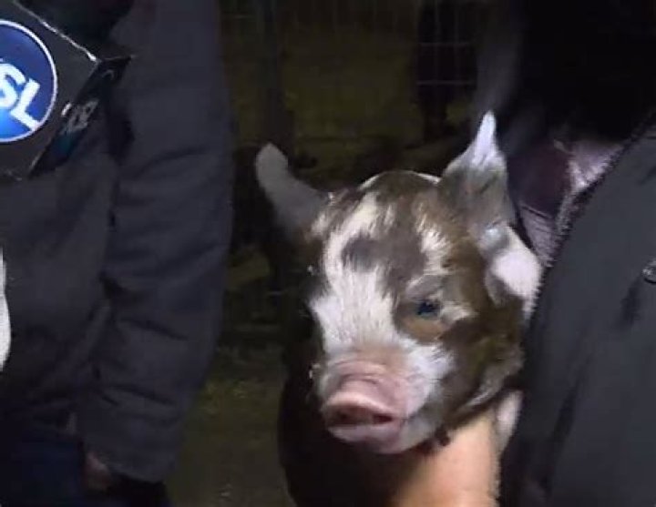 Trace And Sean Visit Cross E Ranch