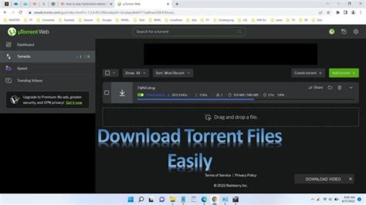 utorrent.com login safely, analysis & comments
