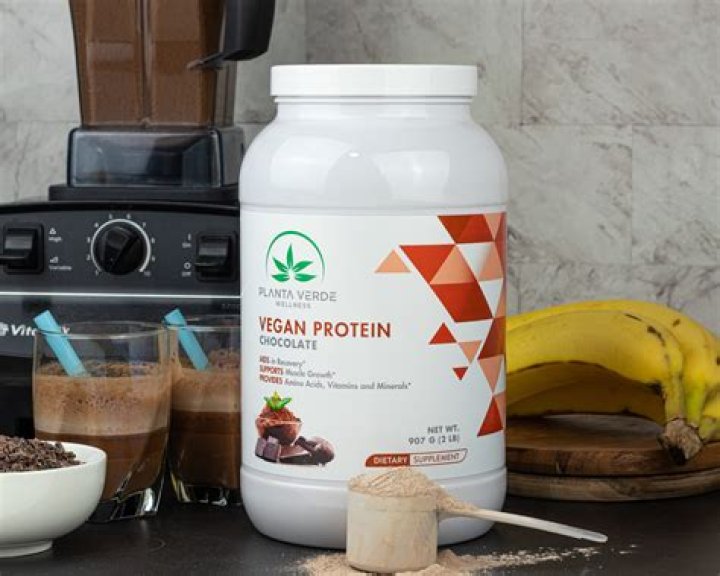 Vegan Chocolate Protein Powder | Shop All